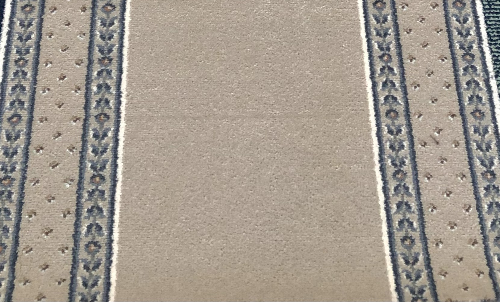 >ULSTER SHERIDEN PROVENCALE RUNNER .........................................SOLD............................................